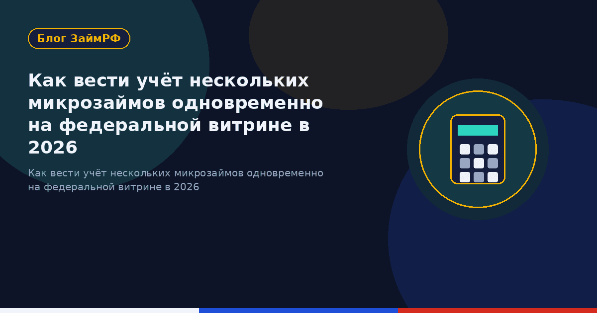 Как вести учёт нескольких микрозаймов одновременно на федеральной витрине в 2026